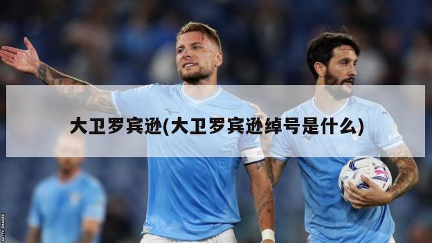 大卫罗宾逊(大卫罗宾逊绰号是什么)