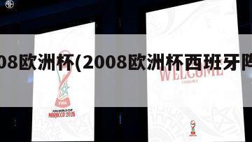 2008欧洲杯(2008欧洲杯西班牙阵容)