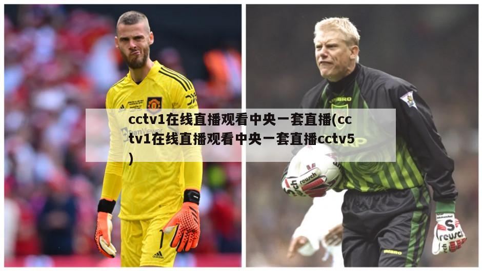 cctv1在线直播观看中央一套直播(cctv1在线直播观看中央一套直播cctv5)