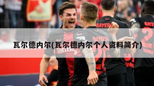 瓦尔德内尔(瓦尔德内尔个人资料简介)