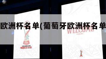 葡萄牙欧洲杯名单(葡萄牙欧洲杯名单最新消息)