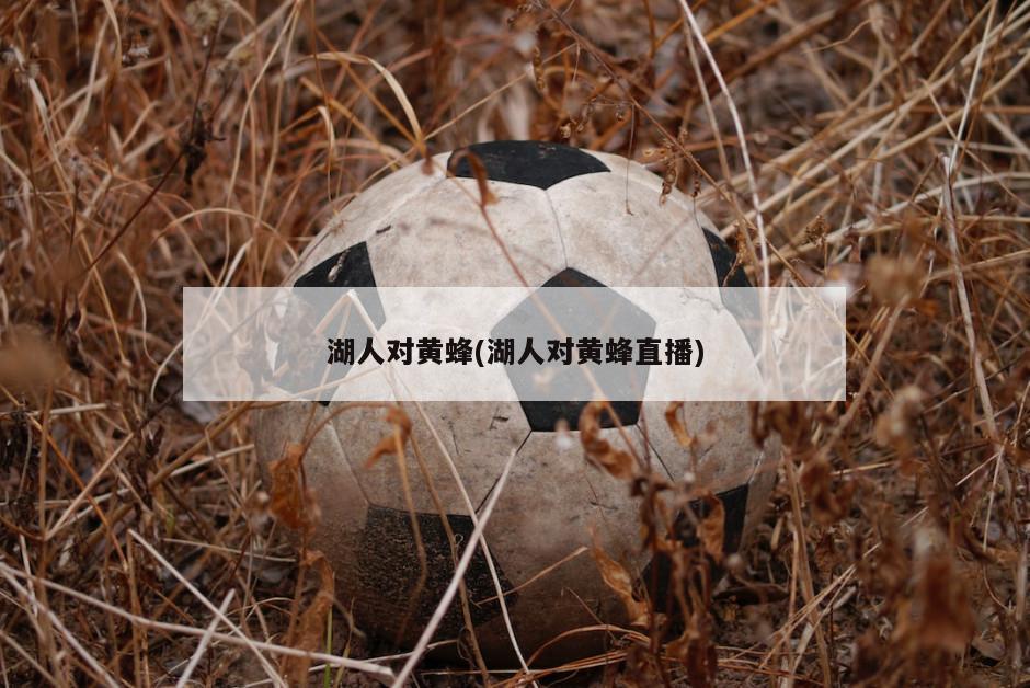湖人对黄蜂(湖人对黄蜂直播)