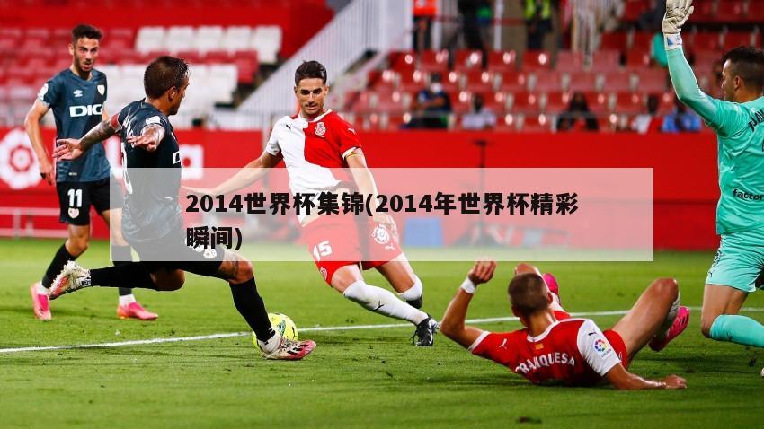 2014世界杯集锦(2014年世界杯精彩瞬间)