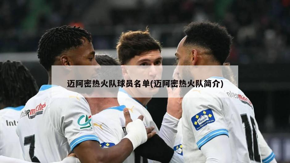 迈阿密热火队球员名单(迈阿密热火队简介)