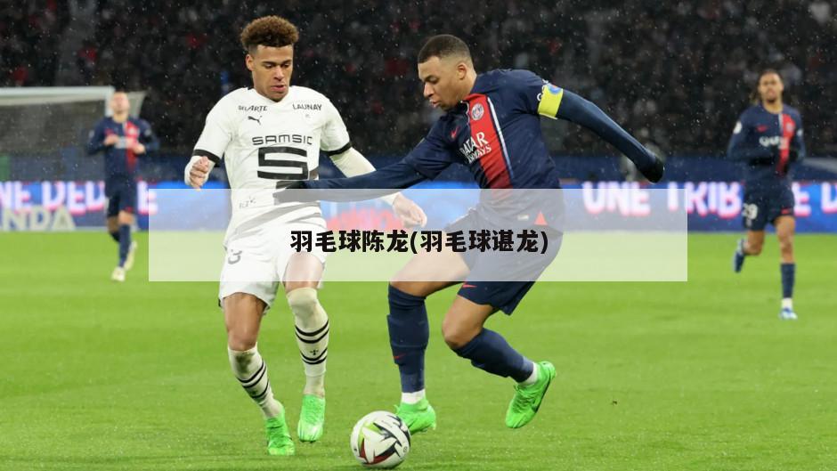 羽毛球陈龙(羽毛球谌龙)