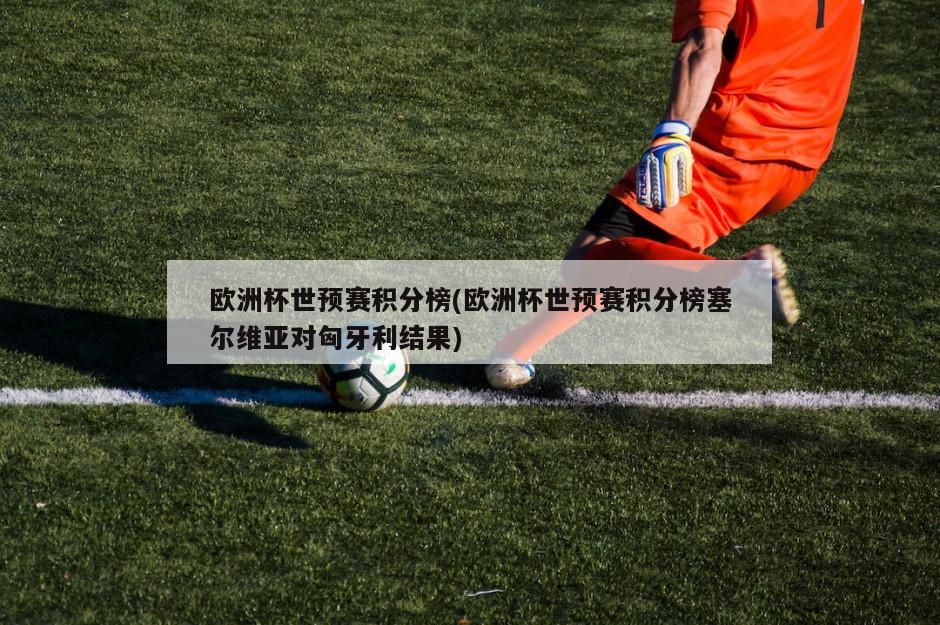 欧洲杯世预赛积分榜(欧洲杯世预赛积分榜塞尔维亚对匈牙利结果)