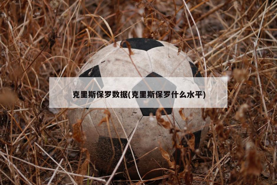 克里斯保罗数据(克里斯保罗什么水平)