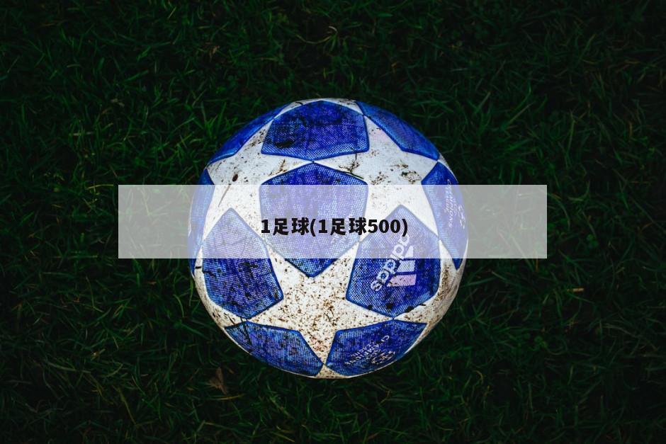 1足球(1足球500)