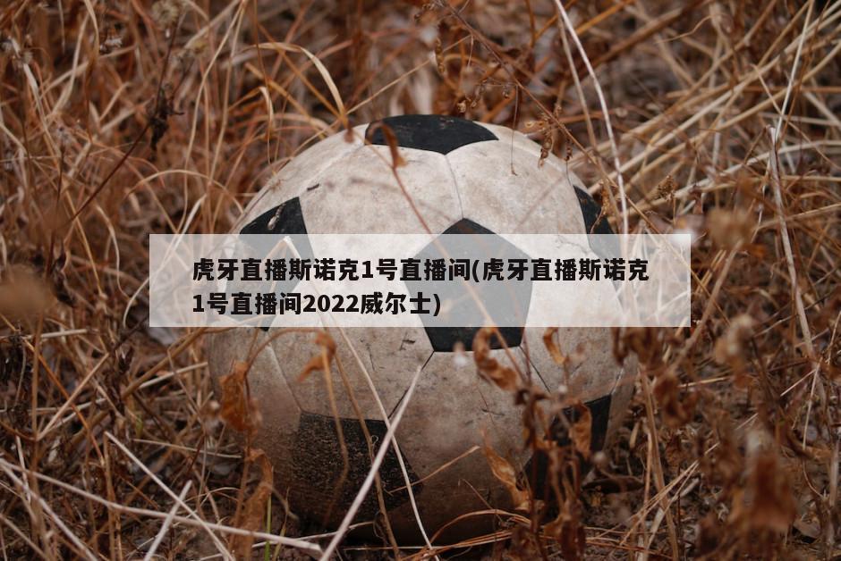 虎牙直播斯诺克1号直播间(虎牙直播斯诺克1号直播间2022威尔士)