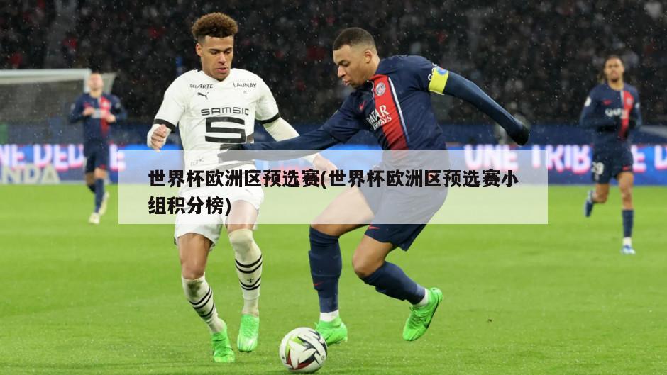世界杯欧洲区预选赛(世界杯欧洲区预选赛小组积分榜)
