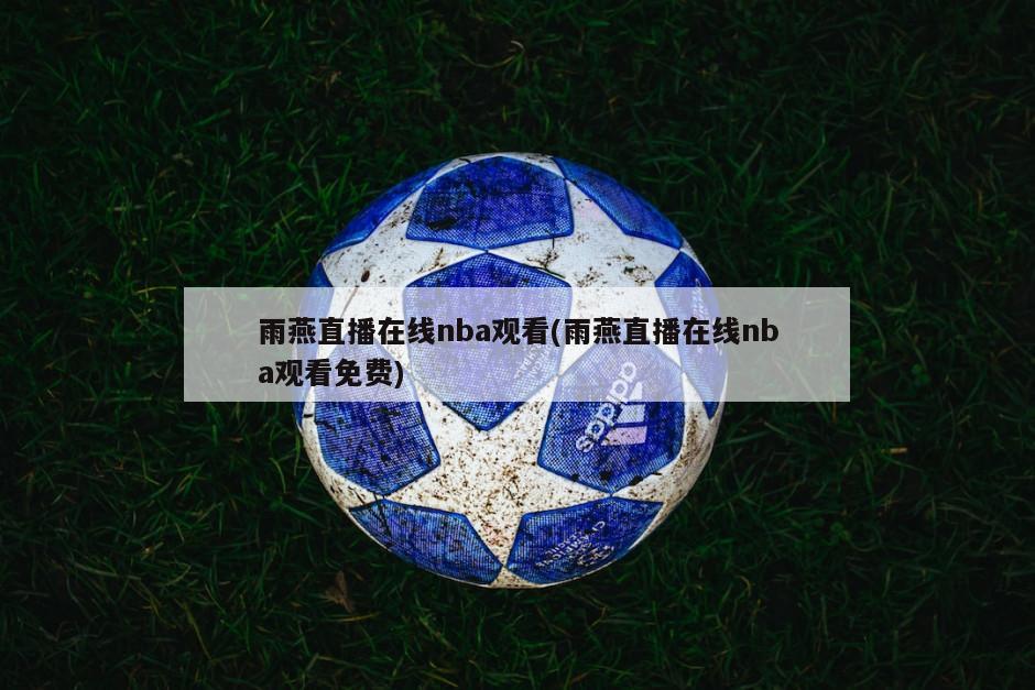 雨燕直播在线nba观看(雨燕直播在线nba观看免费)