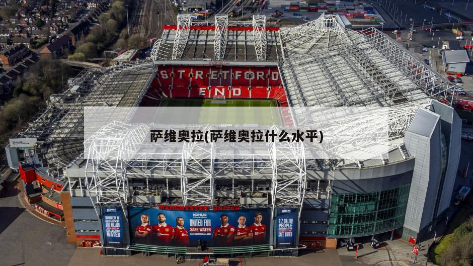 萨维奥拉(萨维奥拉什么水平)