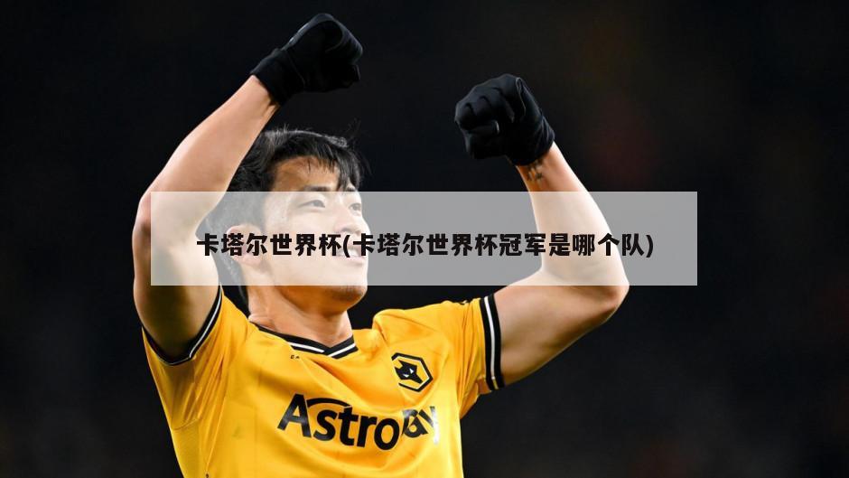 卡塔尔世界杯(卡塔尔世界杯冠军是哪个队)