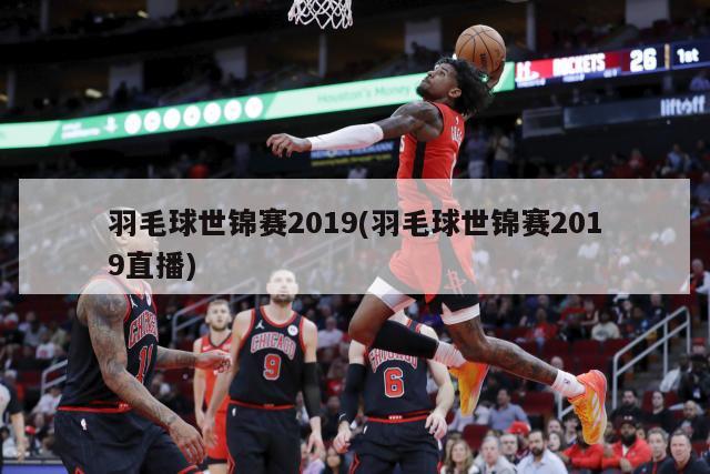 羽毛球世锦赛2019(羽毛球世锦赛2019直播)