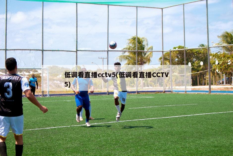 低调看直播cctv5(低调看直播CCTV5)