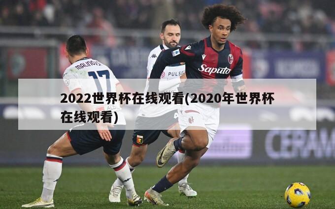 2022世界杯在线观看(2020年世界杯在线观看)