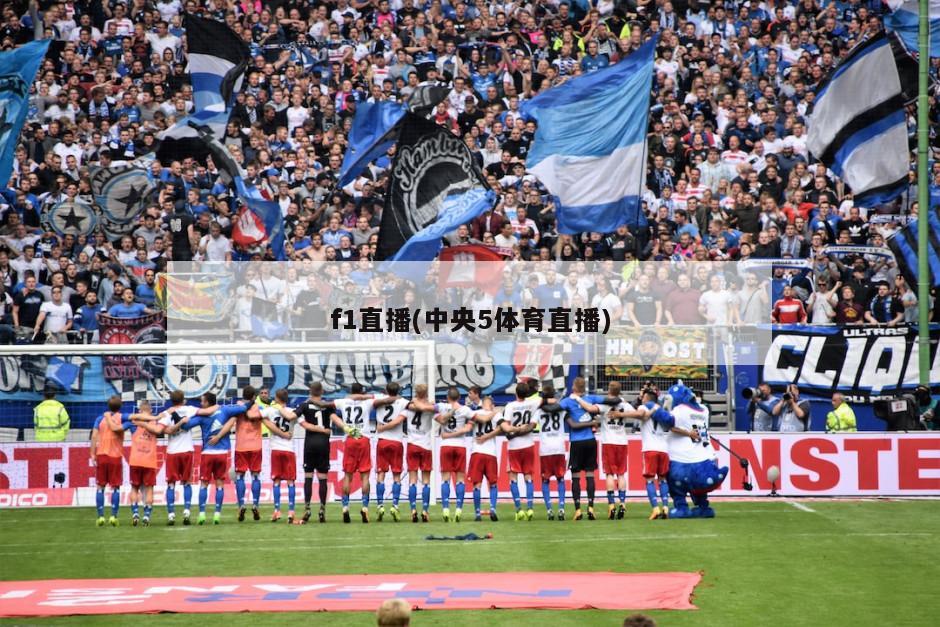 f1直播(中央5体育直播)