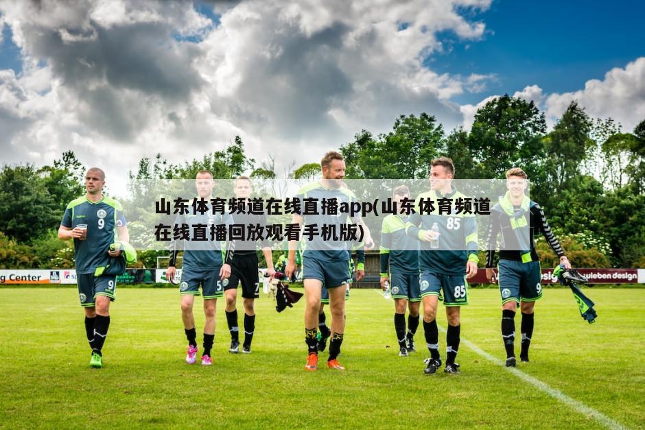 山东体育频道在线直播app(山东体育频道在线直播回放观看手机版)
