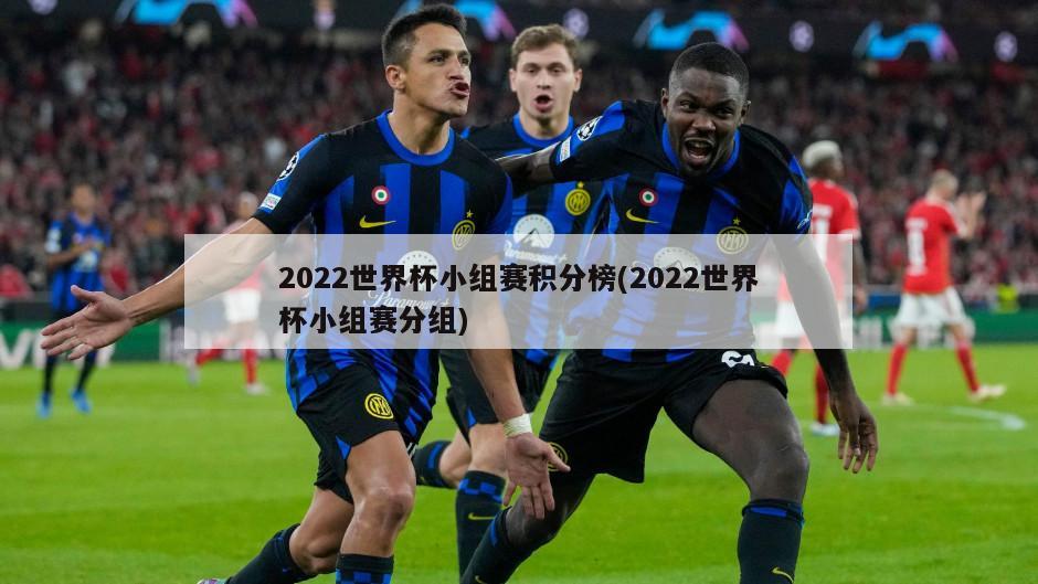 2022世界杯小组赛积分榜(2022世界杯小组赛分组)
