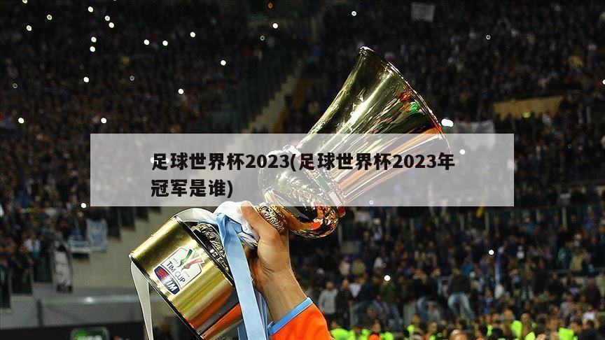 足球世界杯2023(足球世界杯2023年冠军是谁)