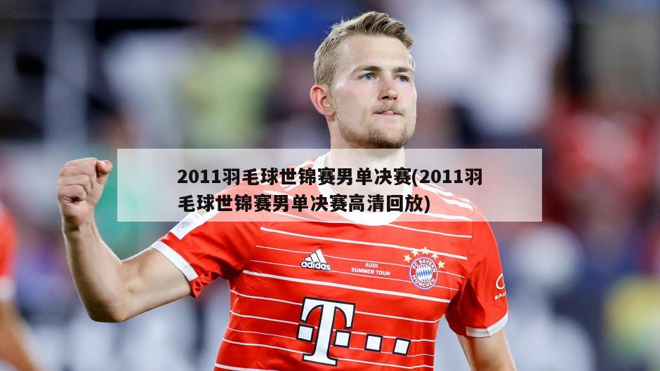2011羽毛球世锦赛男单决赛(2011羽毛球世锦赛男单决赛高清回放)