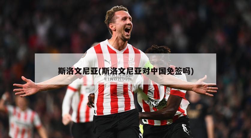 斯洛文尼亚(斯洛文尼亚对中国免签吗)