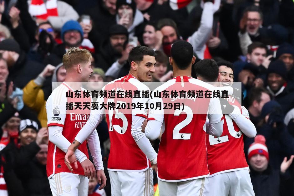 山东体育频道在线直播(山东体育频道在线直播天天耍大牌2019年10月29日)