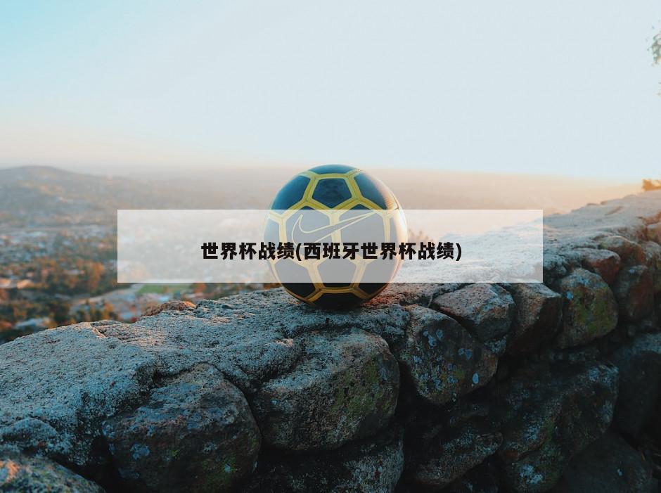 世界杯战绩(西班牙世界杯战绩)