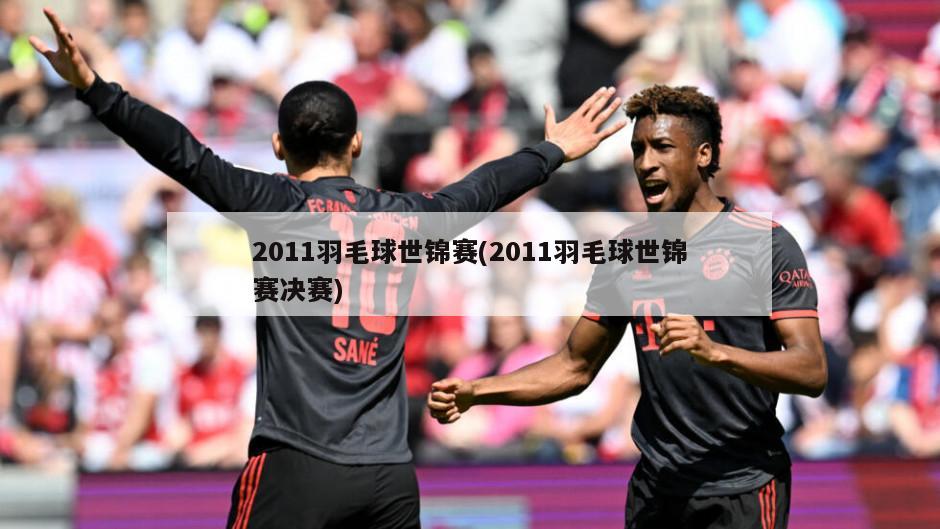2011羽毛球世锦赛(2011羽毛球世锦赛决赛)