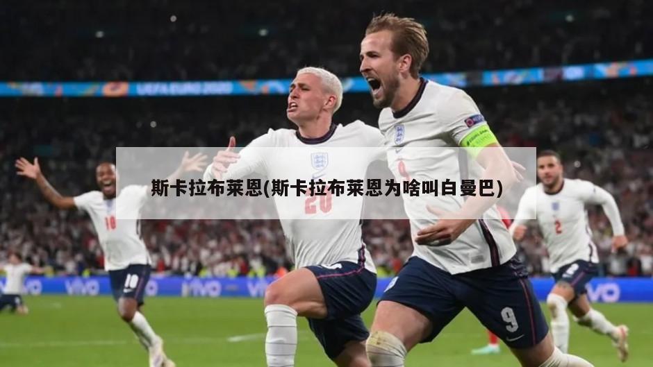 斯卡拉布莱恩(斯卡拉布莱恩为啥叫白曼巴)