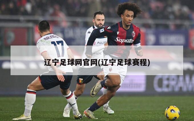辽宁足球网官网(辽宁足球赛程)
