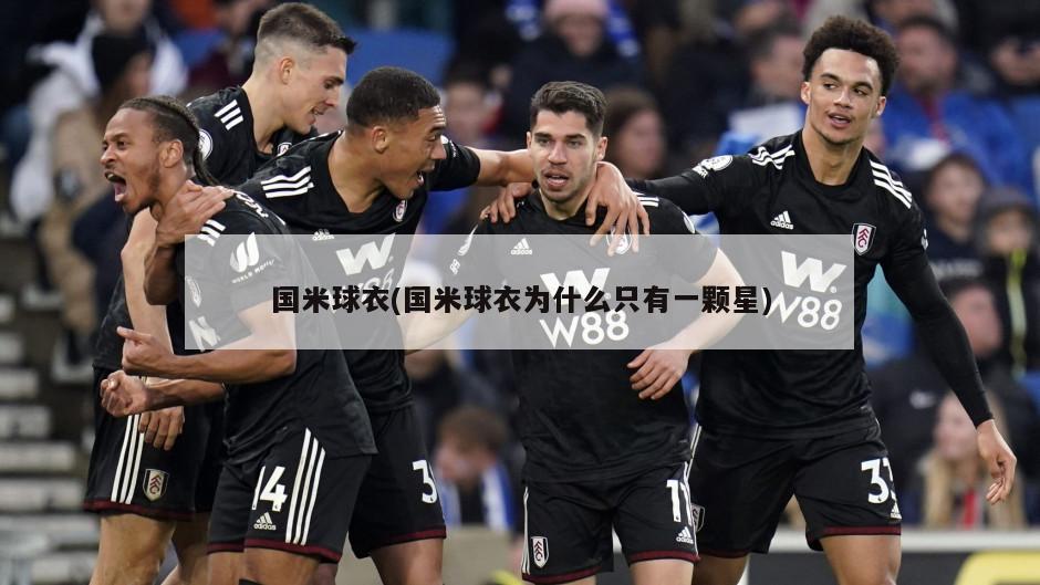 国米球衣(国米球衣为什么只有一颗星)