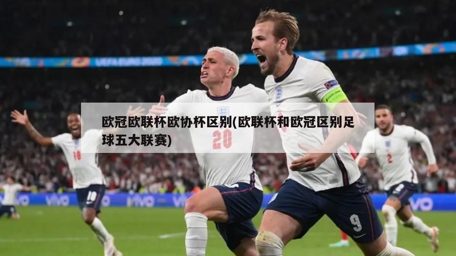 欧冠欧联杯欧协杯区别(欧联杯和欧冠区别足球五大联赛)