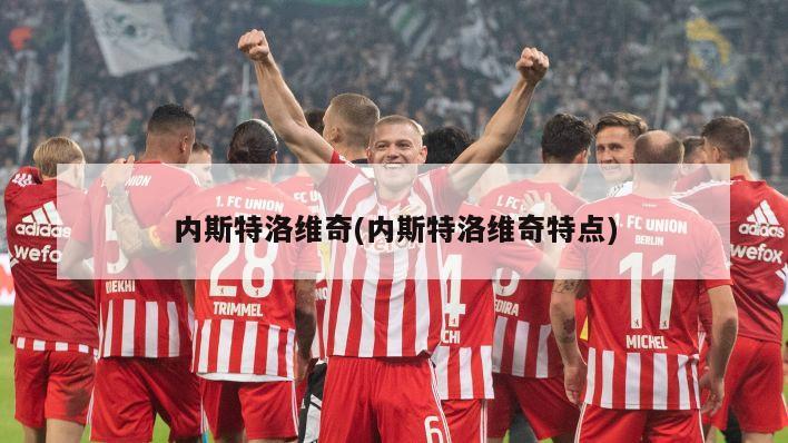 内斯特洛维奇(内斯特洛维奇特点)