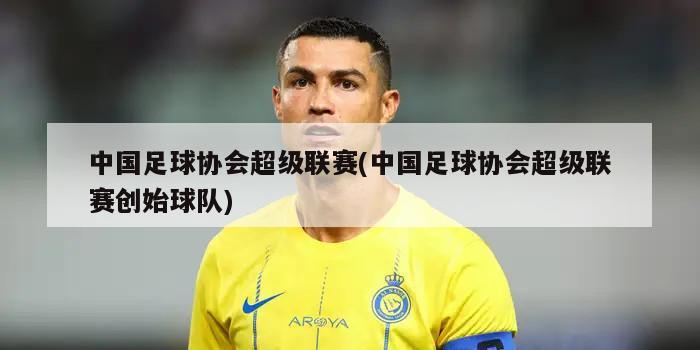 中国足球协会超级联赛(中国足球协会超级联赛创始球队)