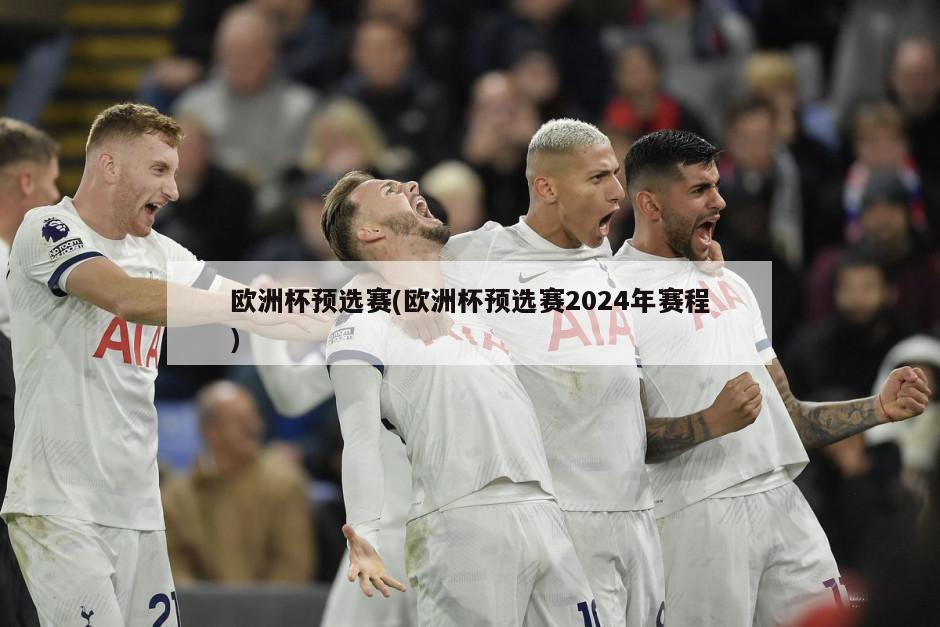 欧洲杯预选赛(欧洲杯预选赛2024年赛程)