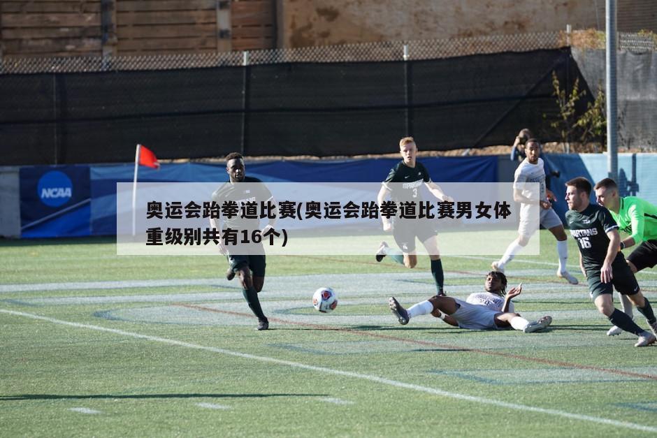 奥运会跆拳道比赛(奥运会跆拳道比赛男女体重级别共有16个)