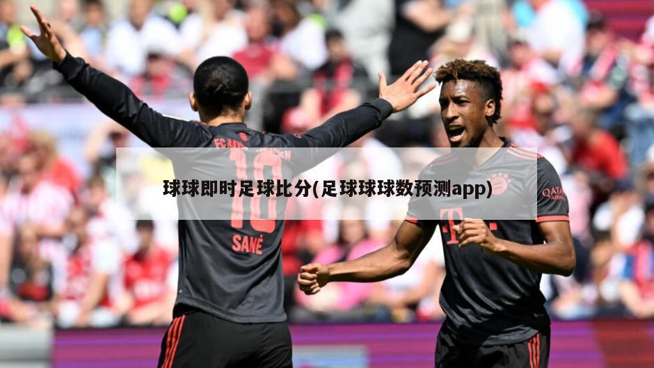 球球即时足球比分(足球球球数预测app)