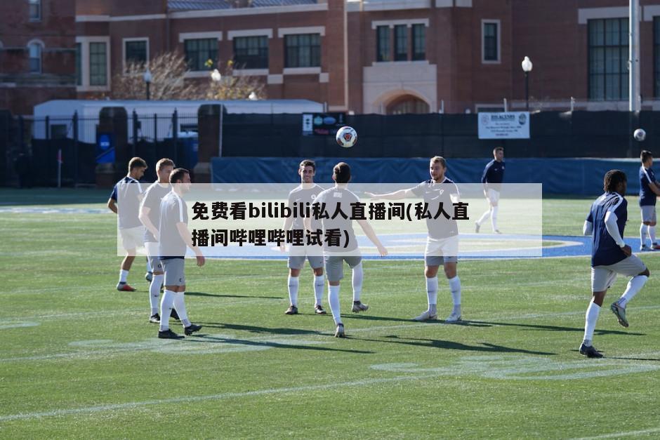 免费看bilibili私人直播间(私人直播间哔哩哔哩试看)