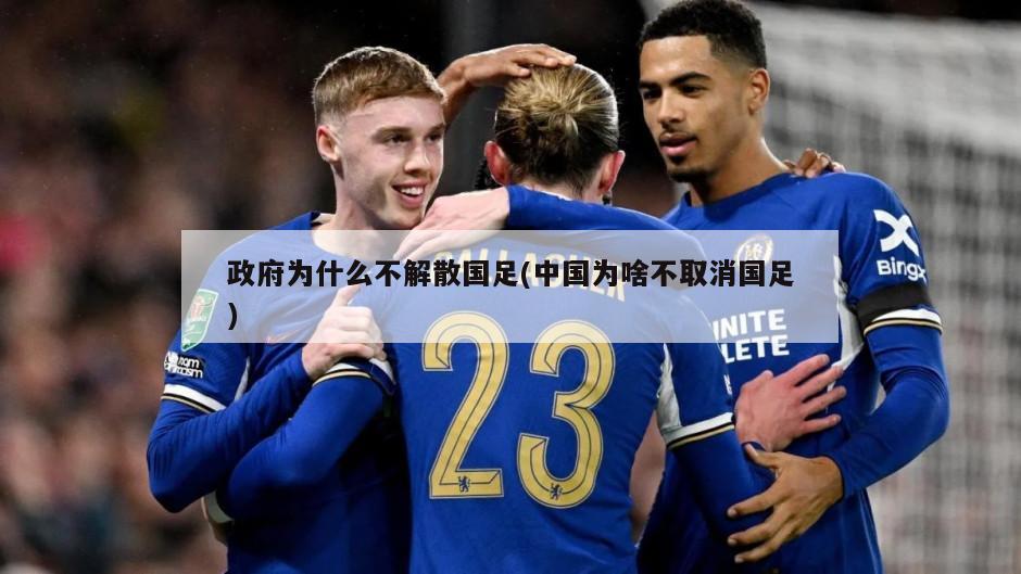 政府为什么不解散国足(中国为啥不取消国足)