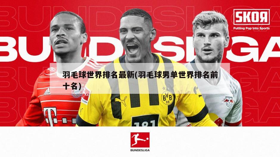羽毛球世界排名最新(羽毛球男单世界排名前十名)