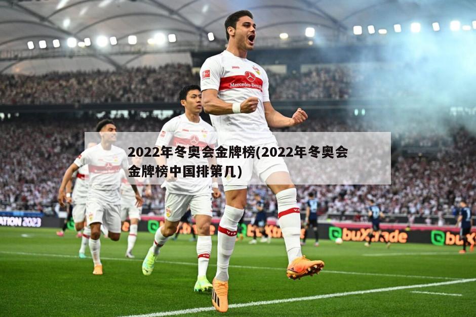 2022年冬奥会金牌榜(2022年冬奥会金牌榜中国排第几)