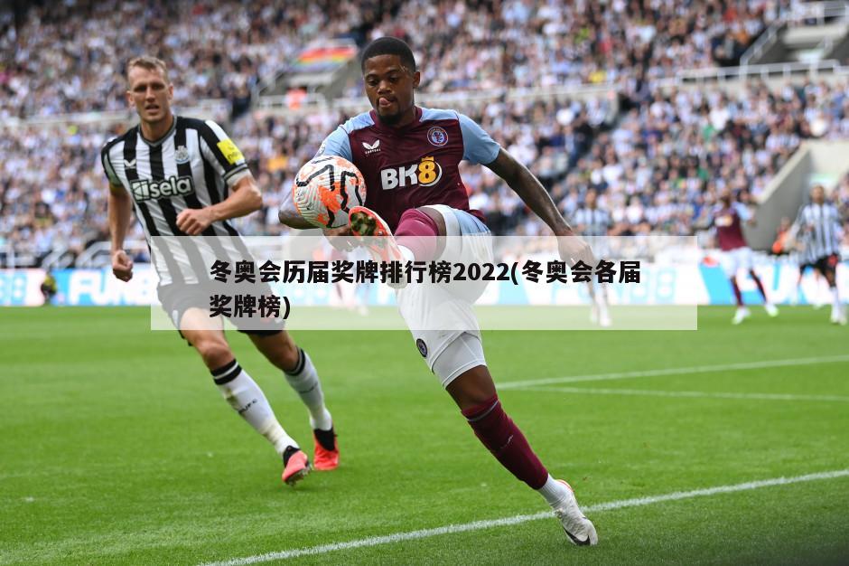 冬奥会历届奖牌排行榜2022(冬奥会各届奖牌榜)