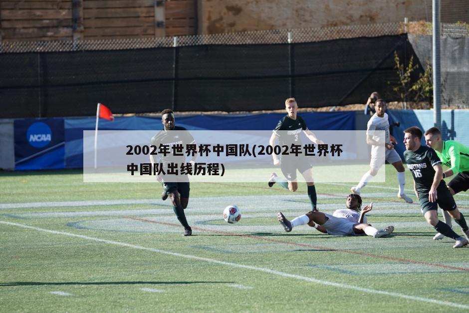 2002年世界杯中国队(2002年世界杯中国队出线历程)