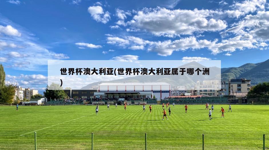 世界杯澳大利亚(世界杯澳大利亚属于哪个洲)