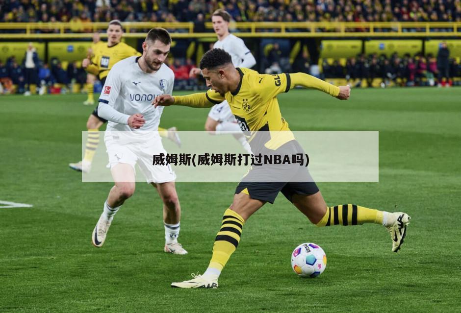 威姆斯(威姆斯打过NBA吗)