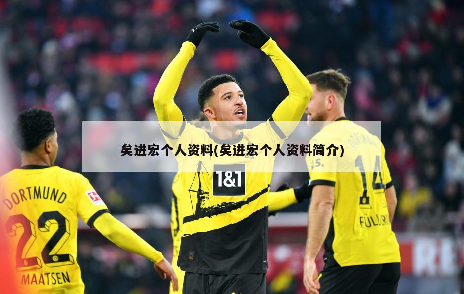 矣进宏个人资料(矣进宏个人资料简介)