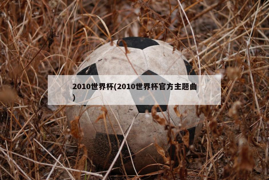 2010世界杯(2010世界杯官方主题曲)