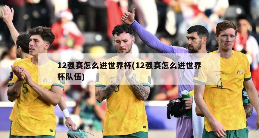 12强赛怎么进世界杯(12强赛怎么进世界杯队伍)