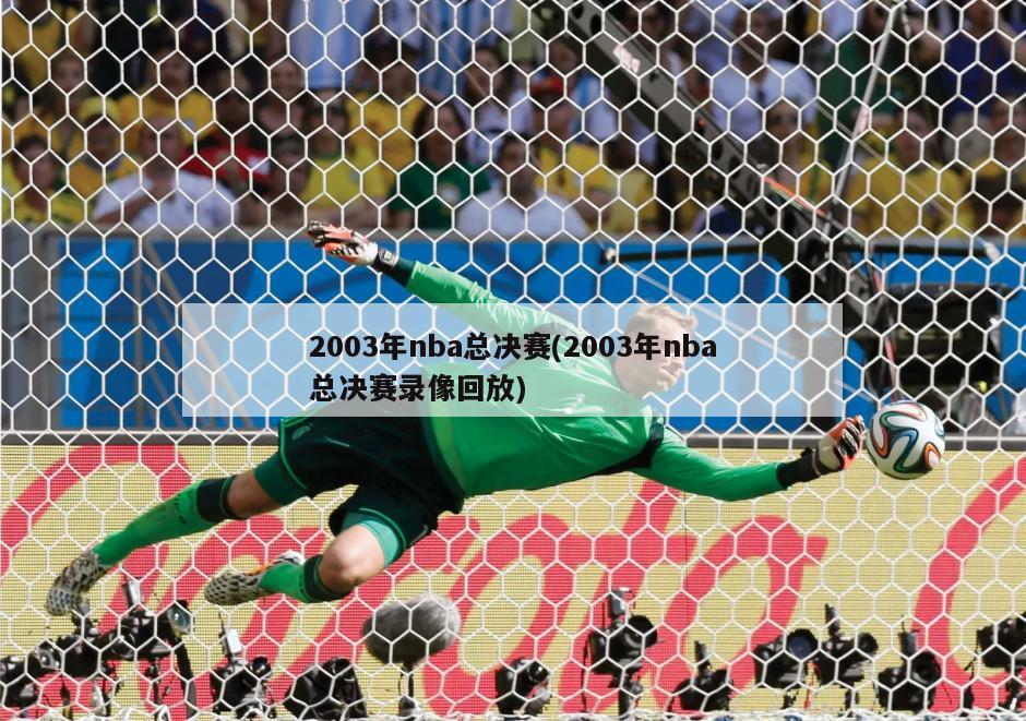 2003年nba总决赛(2003年nba总决赛录像回放)